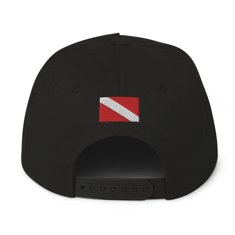 Gorra de visera plana